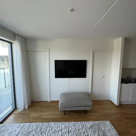 Nydelig Leilighet Med Balkong